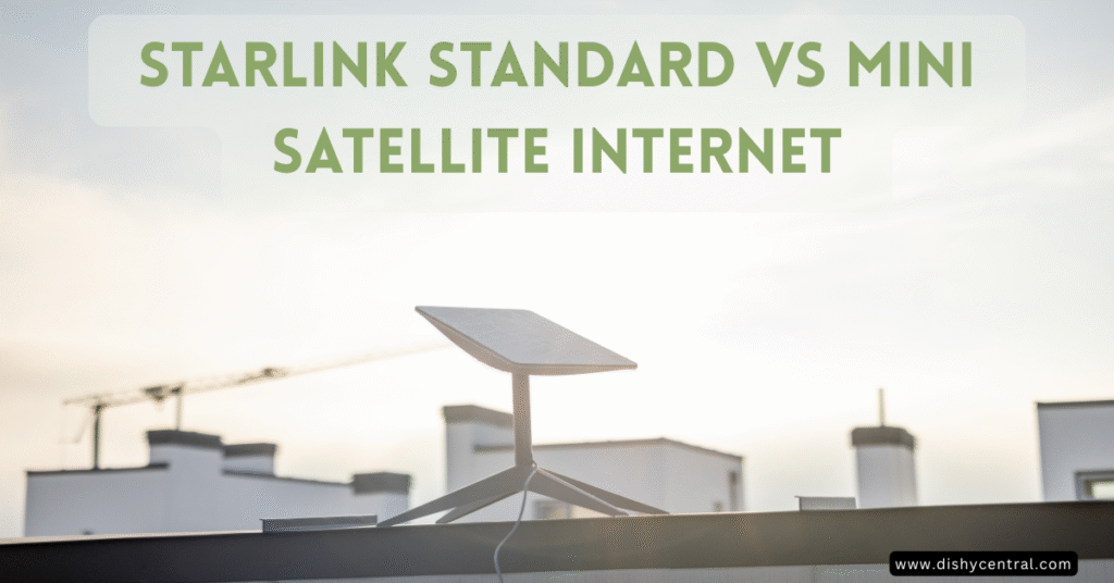 Starlink standard vs mini
